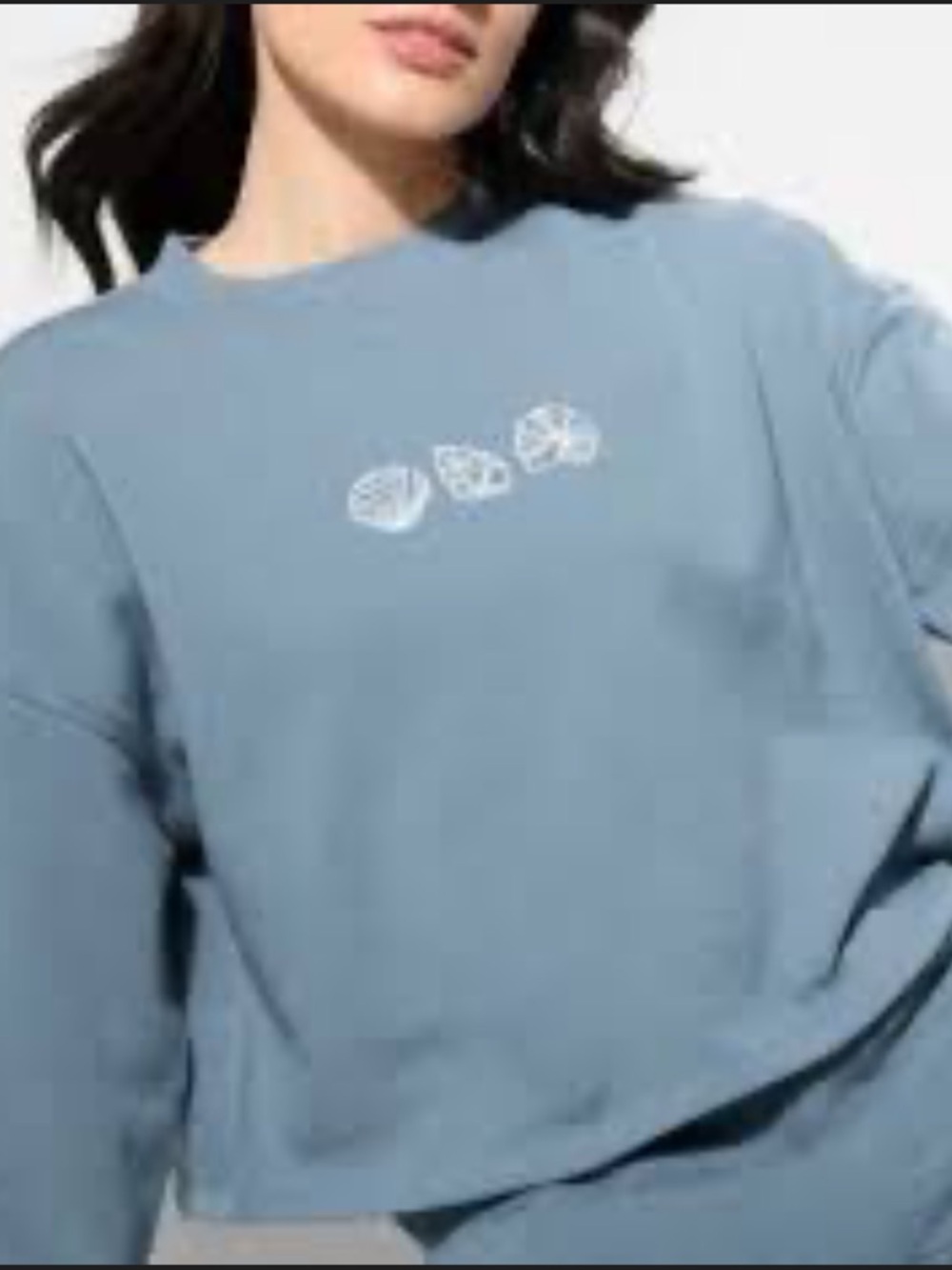 Wild Fable Embroidery Seashells Long Sleeve Sweatshirt Cropped XXS